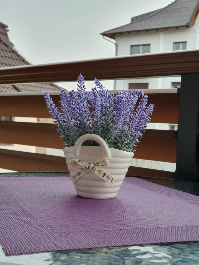 Zlatibor Hills Lara Aparthotel Kültér fotó